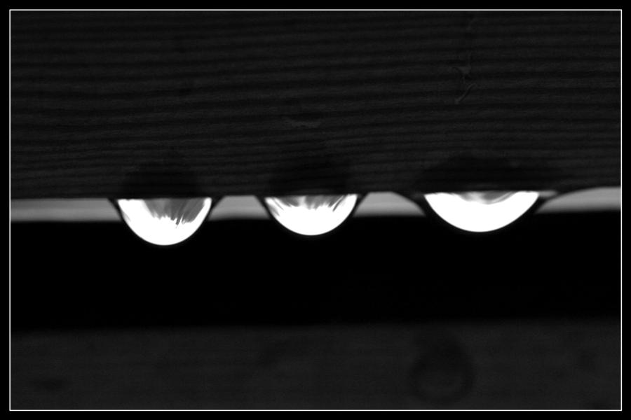 profili e riflessi