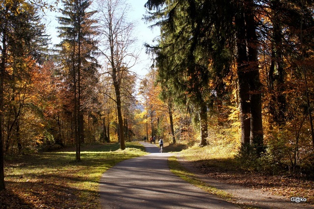 Oro d'autunno