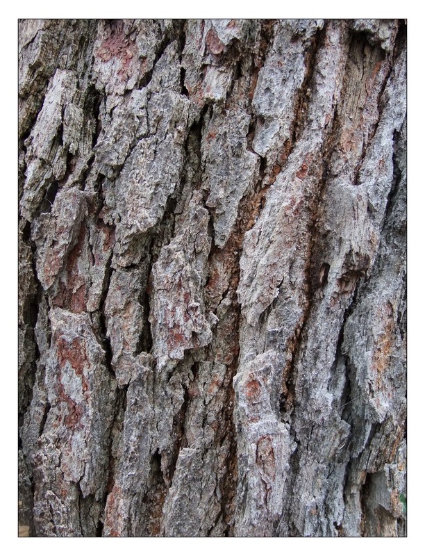 texture 2