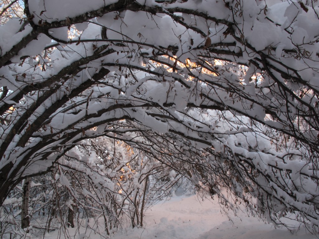 Capanna di neve