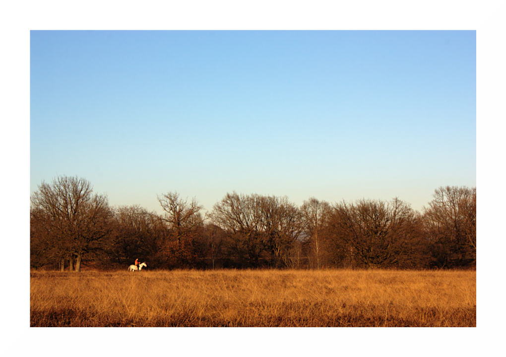 Campagna