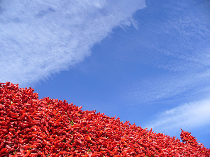 Paprika