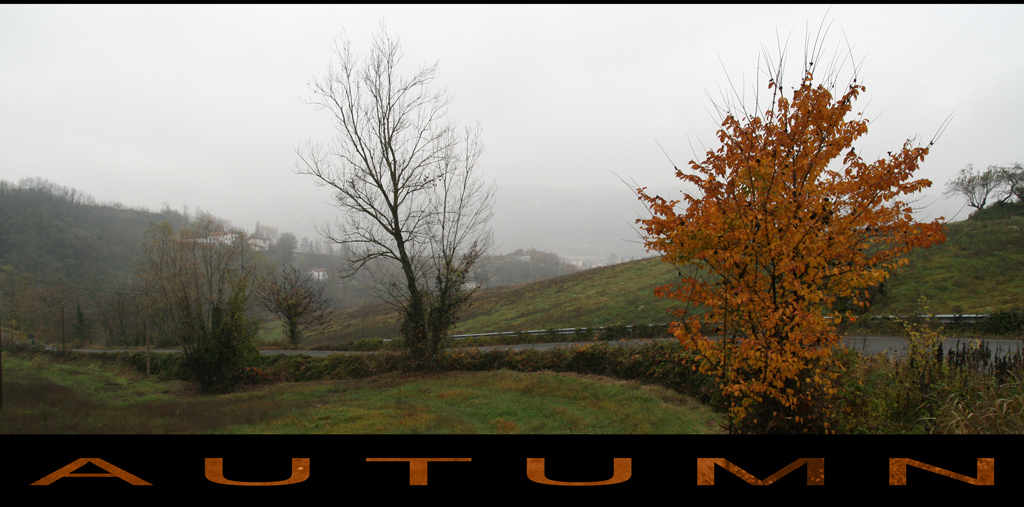 Autumn