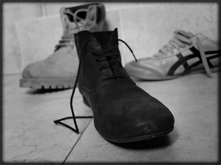 The shoe