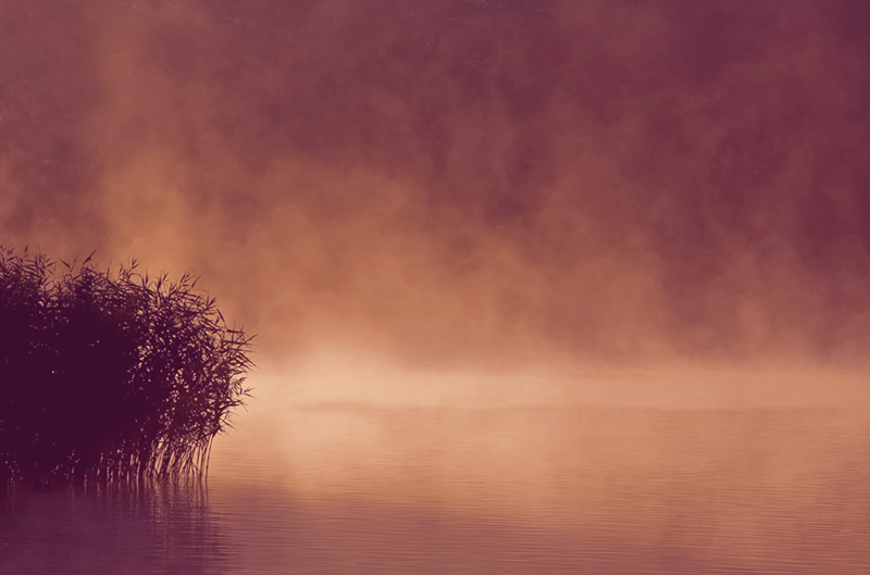 Nebbia.