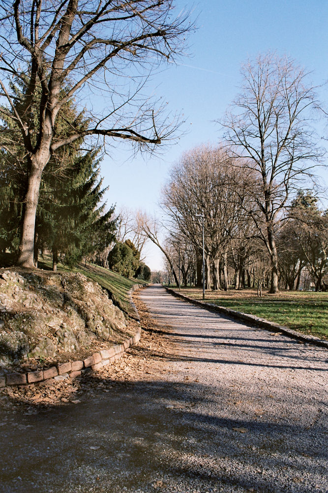 Viale nel Monte Stella - MarcoV