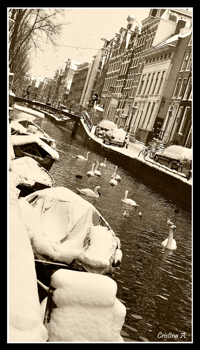 Amsterdam #2