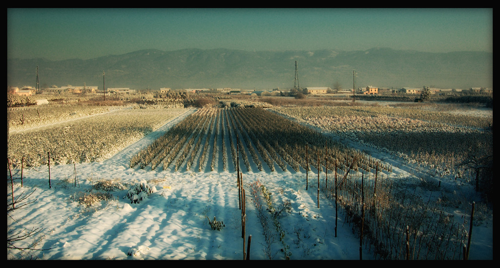 Neve 2010
