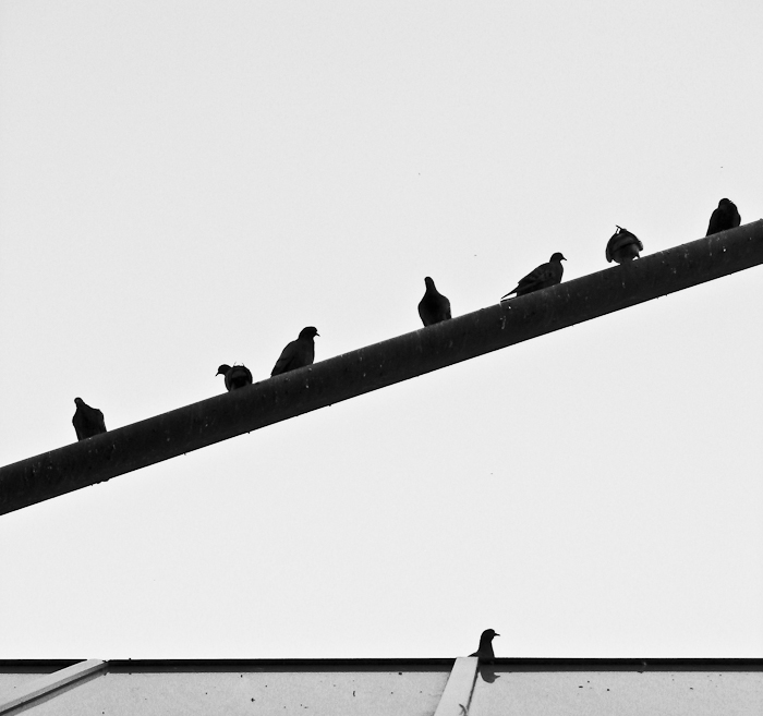 L'asociale (*)