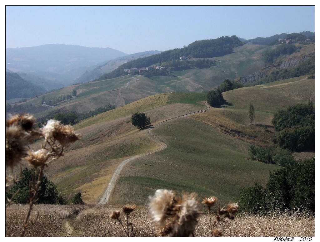 sentiero.....