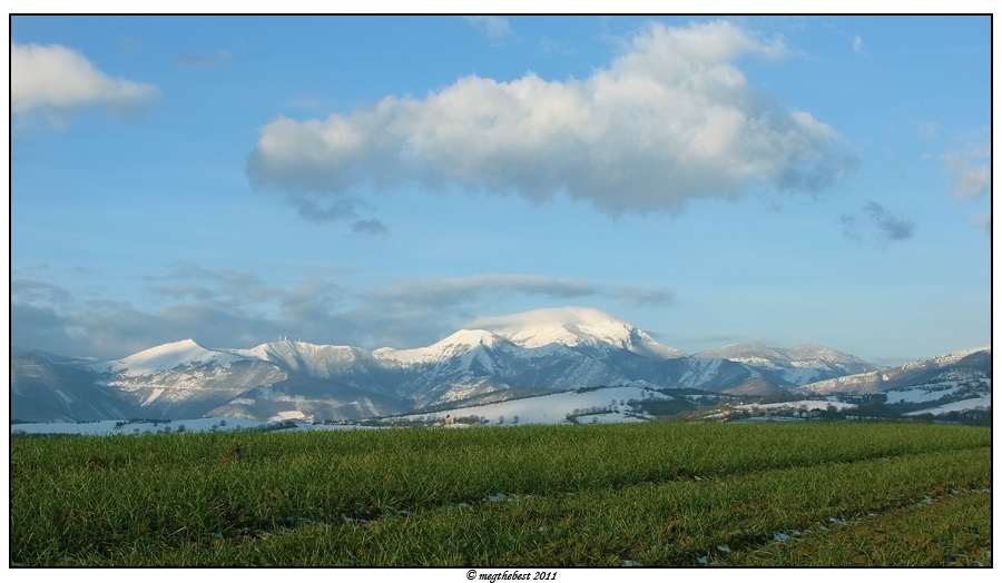 il bianco, il verde e l'azzurro