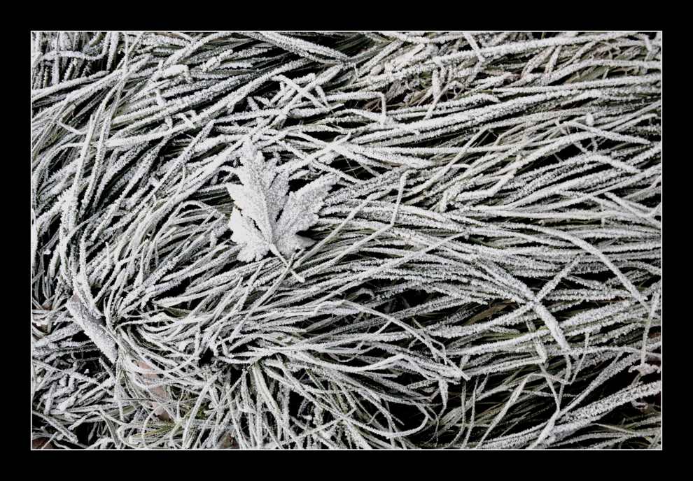 Dipinto glaciale