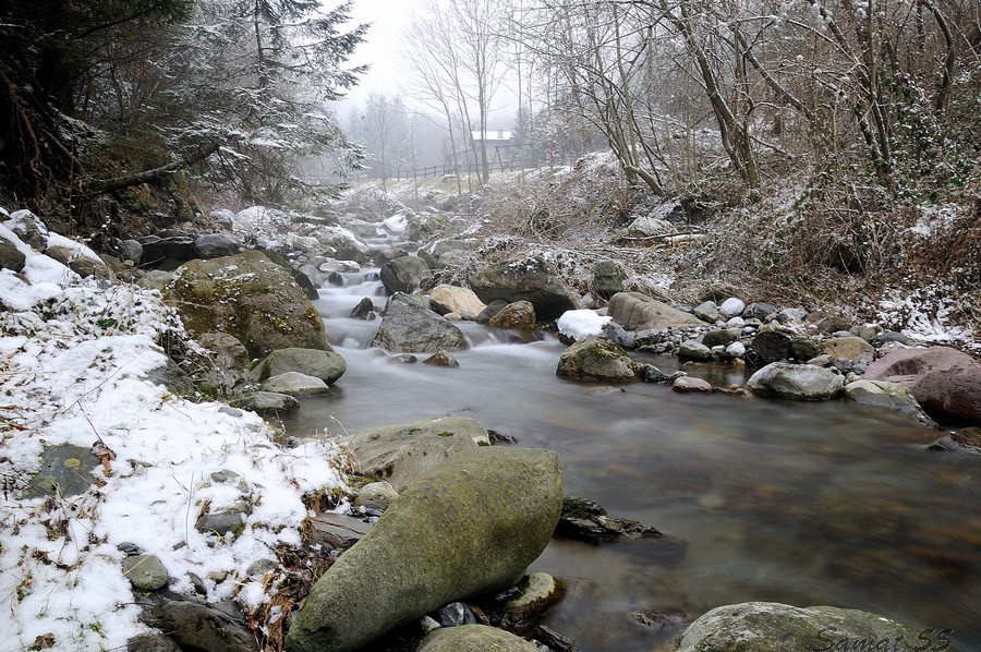 torrente