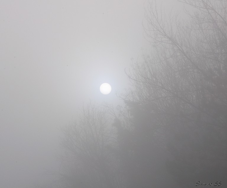 nebbia
