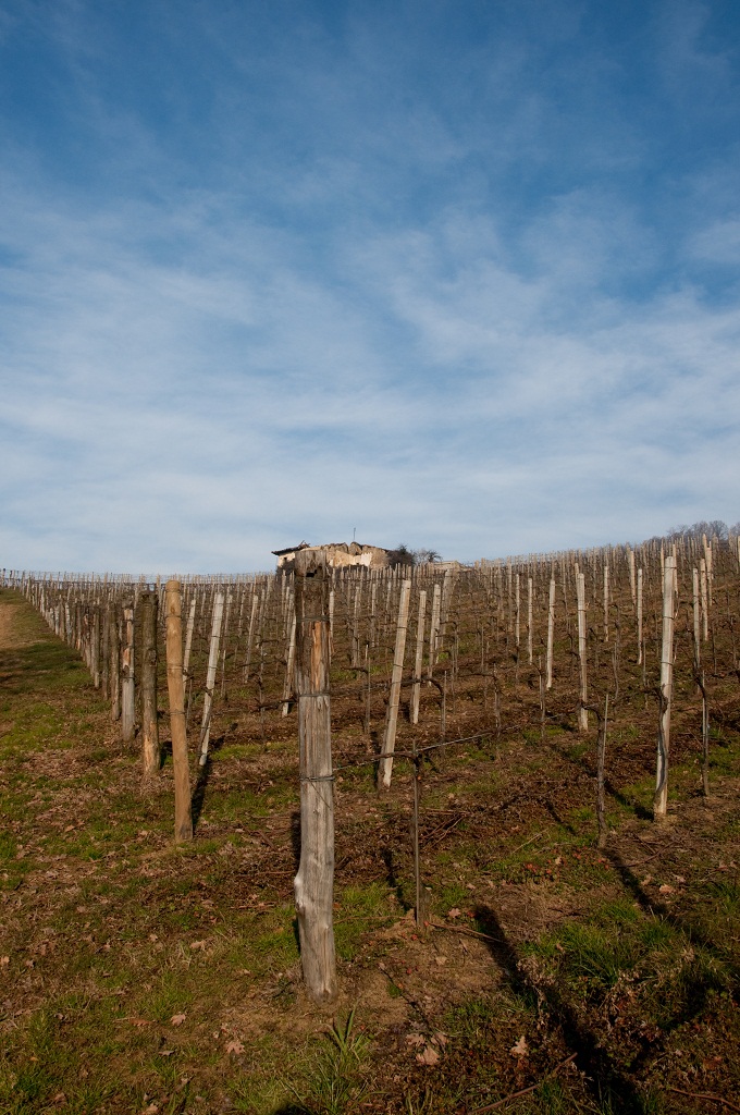Grumello Del Monte1