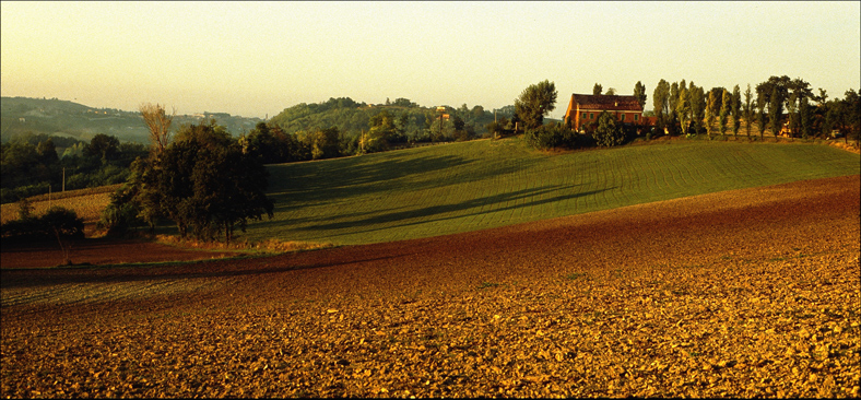 collina