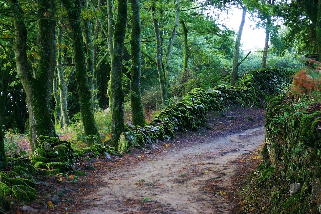 Il Cammino Verde