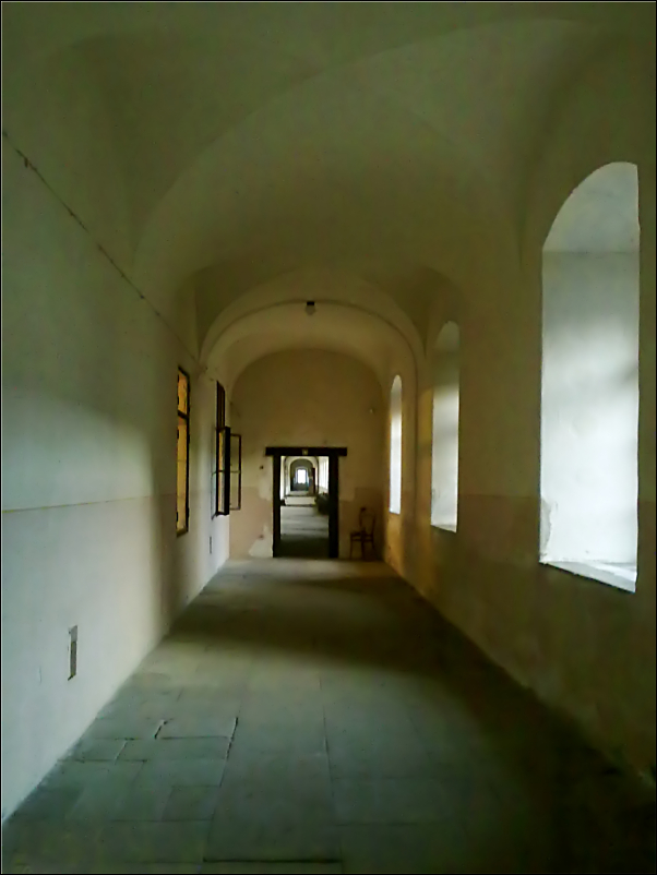 Corridoio del castello di Kuks - b