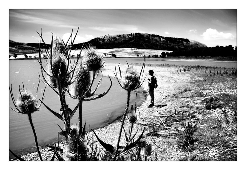 ...wandering...