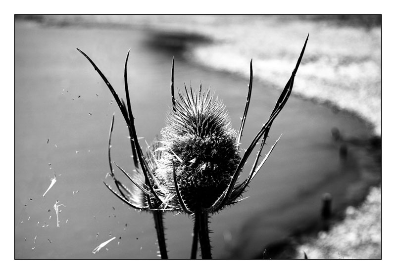 ...wandering...