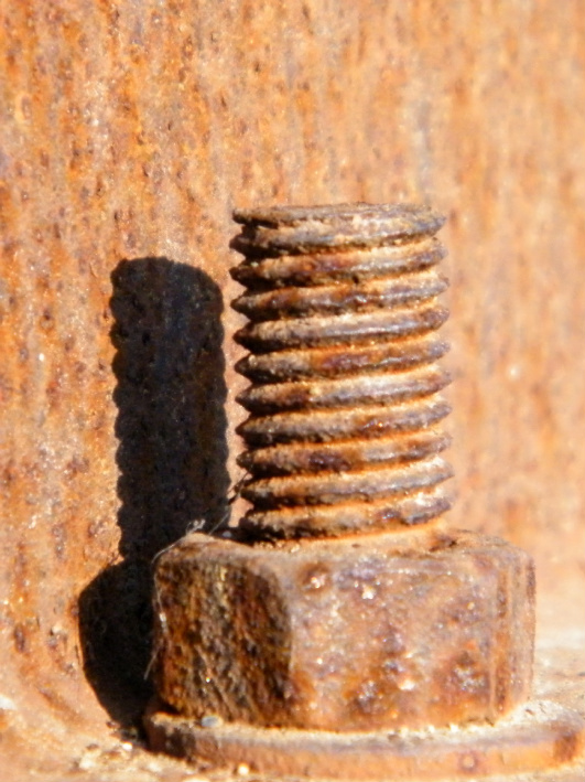 bullone