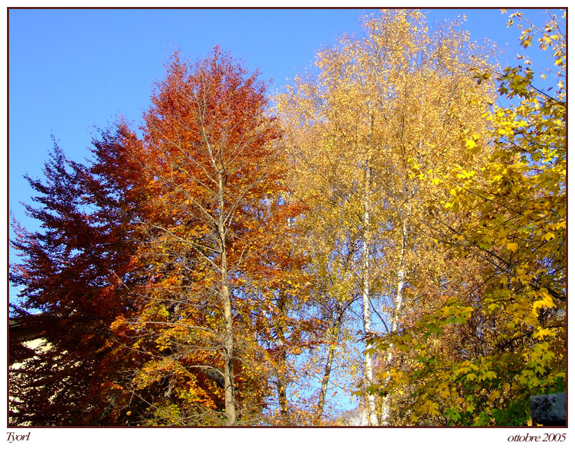 autunno