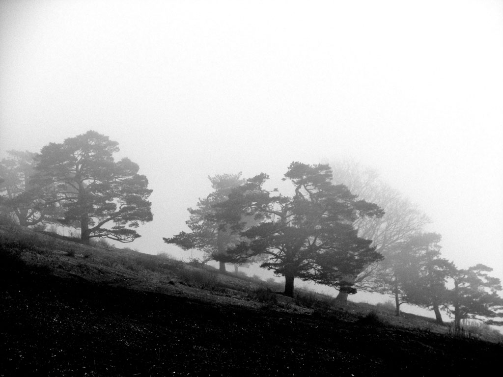 EspaceJura