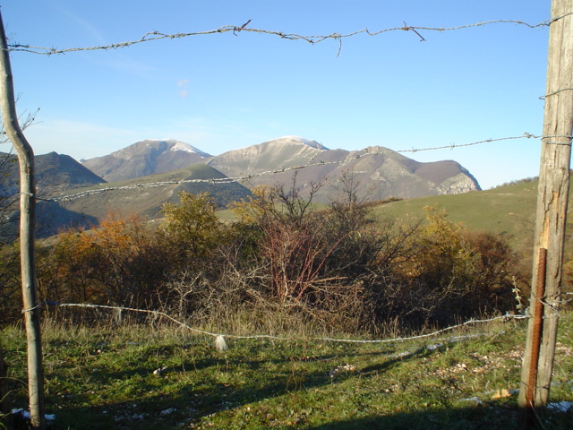 prato
