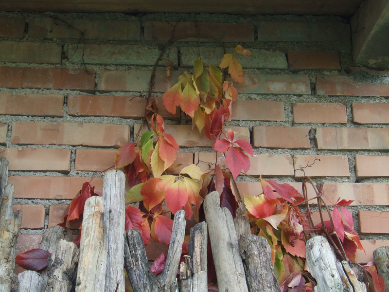 autunno