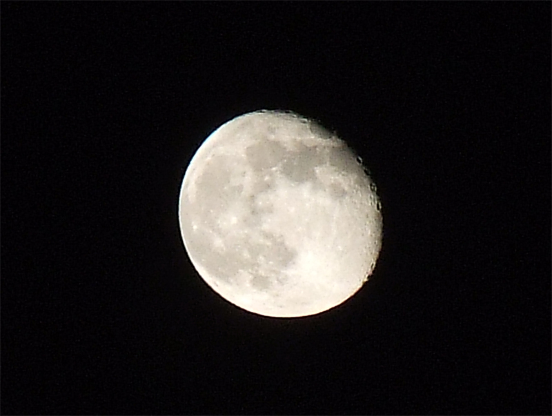 luna