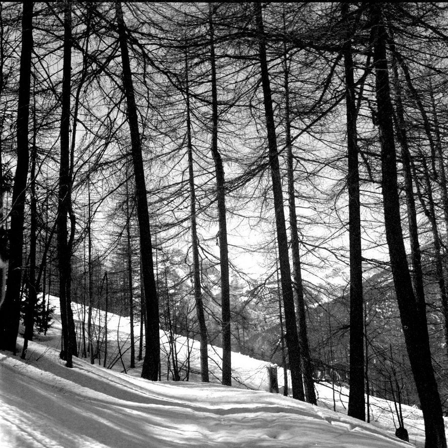 Bardonecchia_03