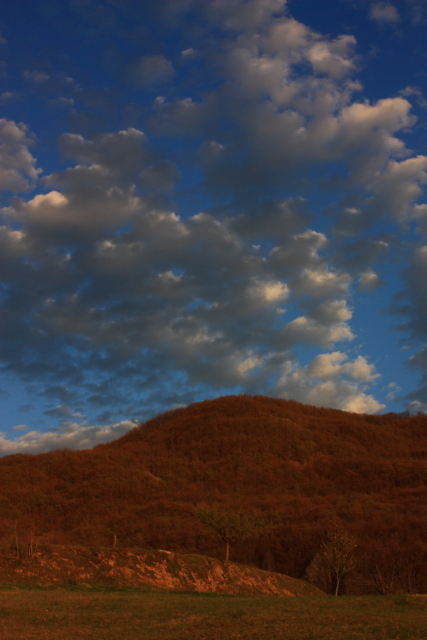 Rust & blue