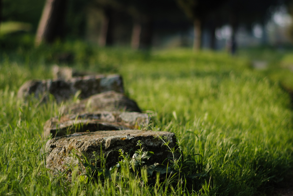 Prato Appia Antica 105 1.8