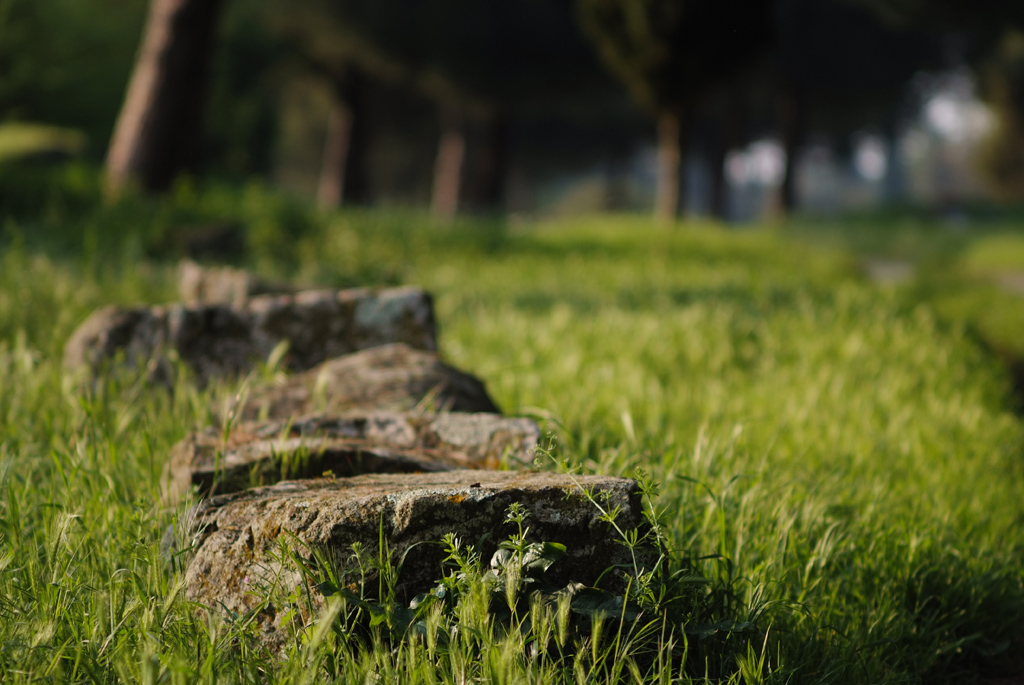 Prato Appia Antica 105 2.5