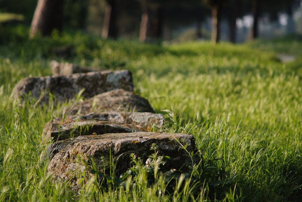 Prato Appia Antica 75-150@105