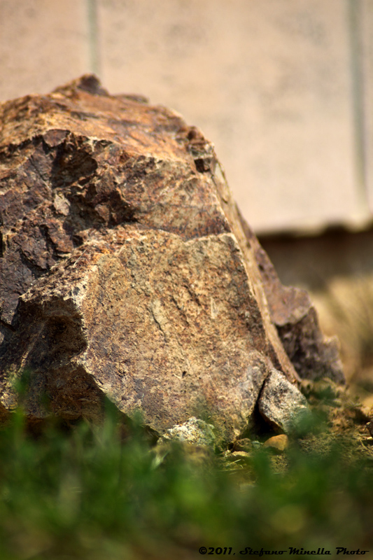 Garden Rock