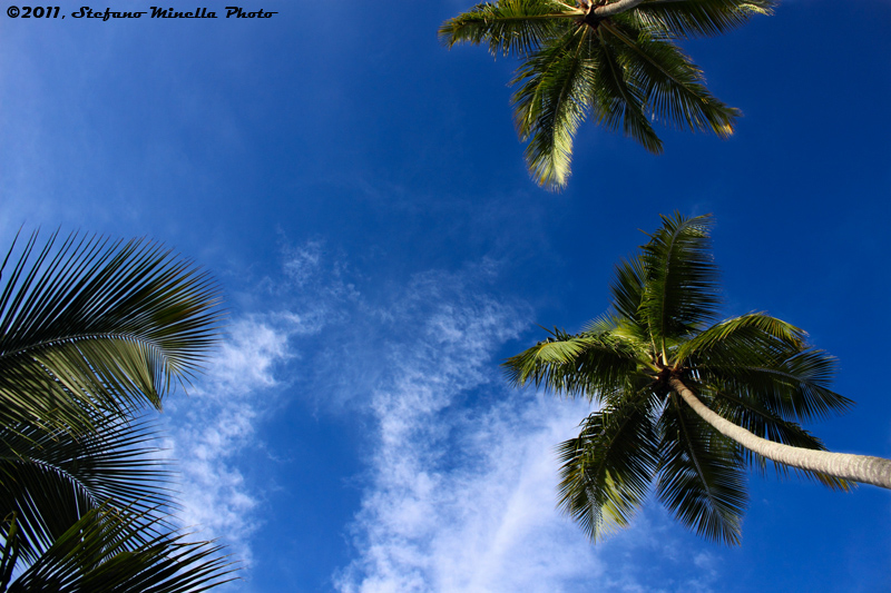 Caribbean View