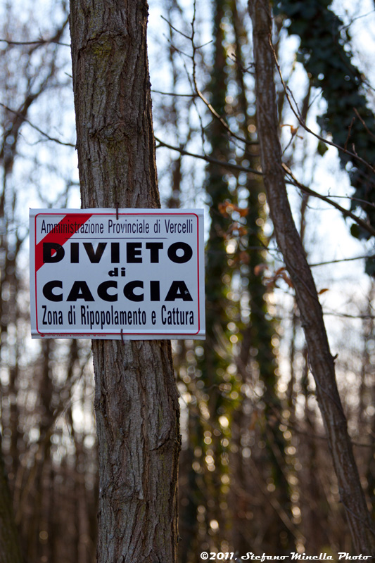 No Hunting Zone