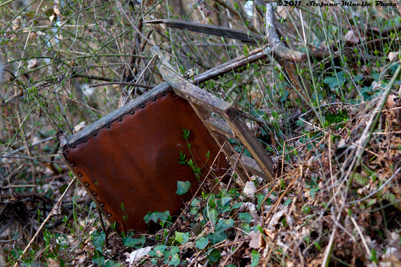 Rubbish in the forest