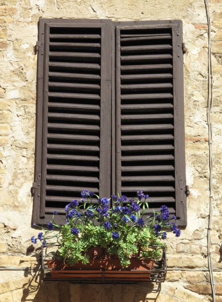 Finestra in fiore