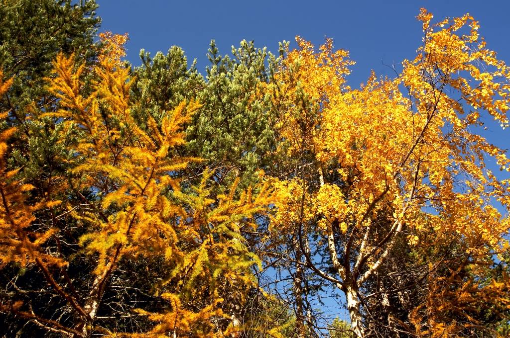 Autunno 2005 3