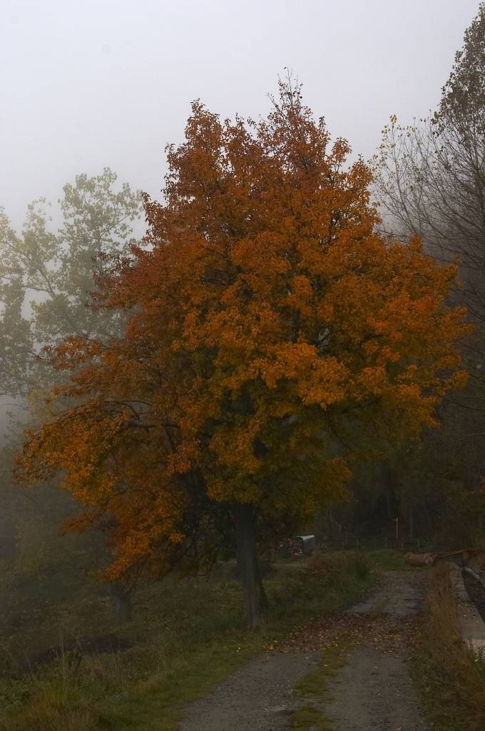 Autunno 2005 5
