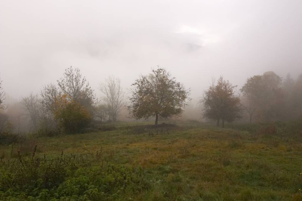 Autunno 2005 6