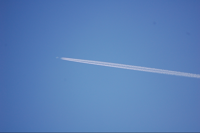 Volare