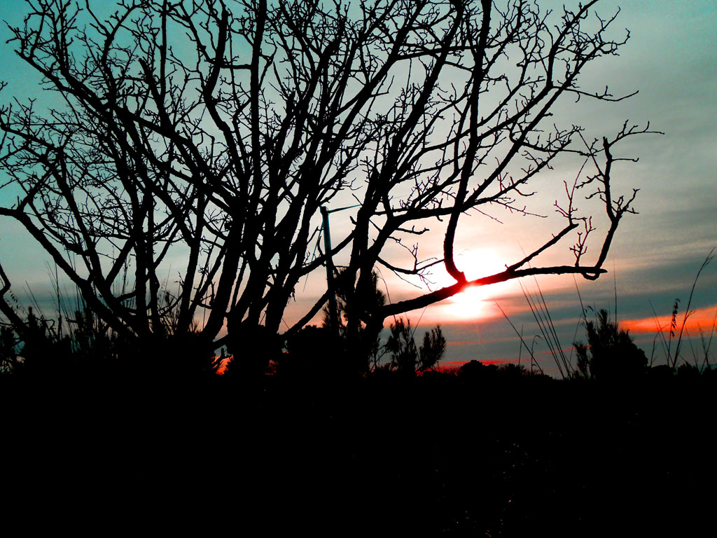 paesaggio scuro