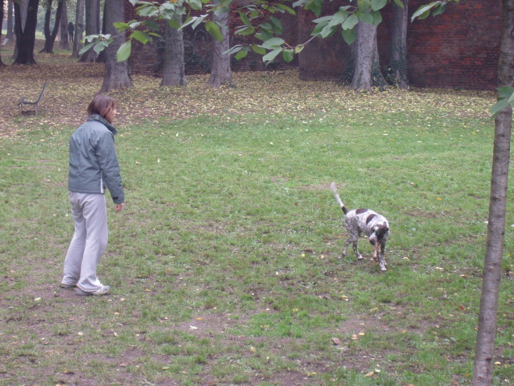 parco