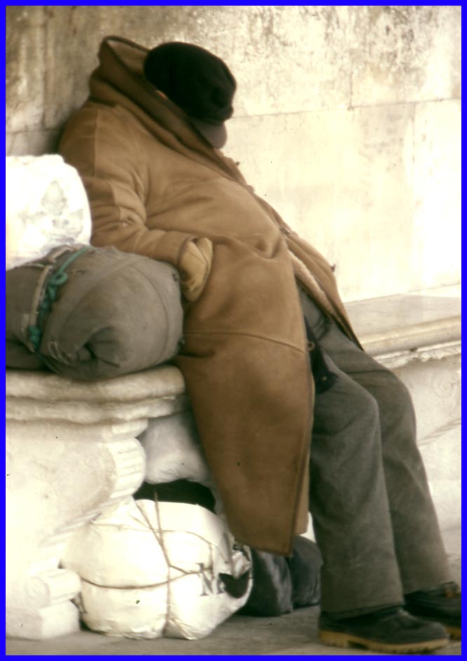 barbone veneziano