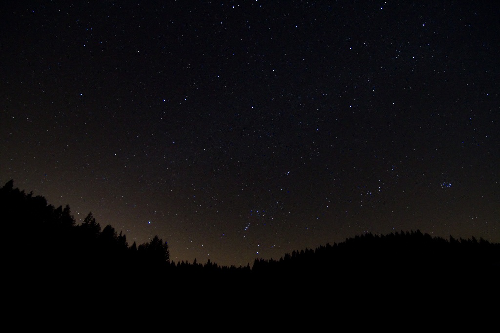 Stars