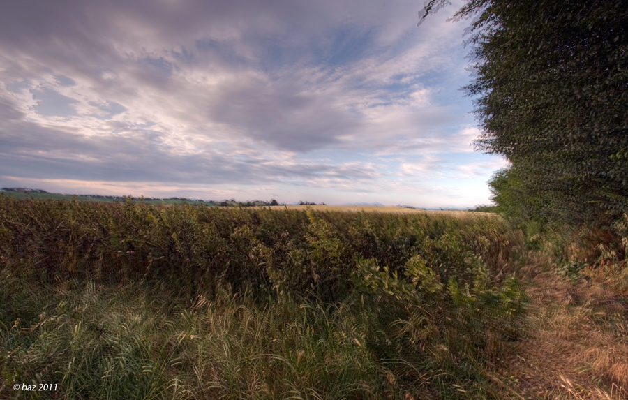 campagna romana