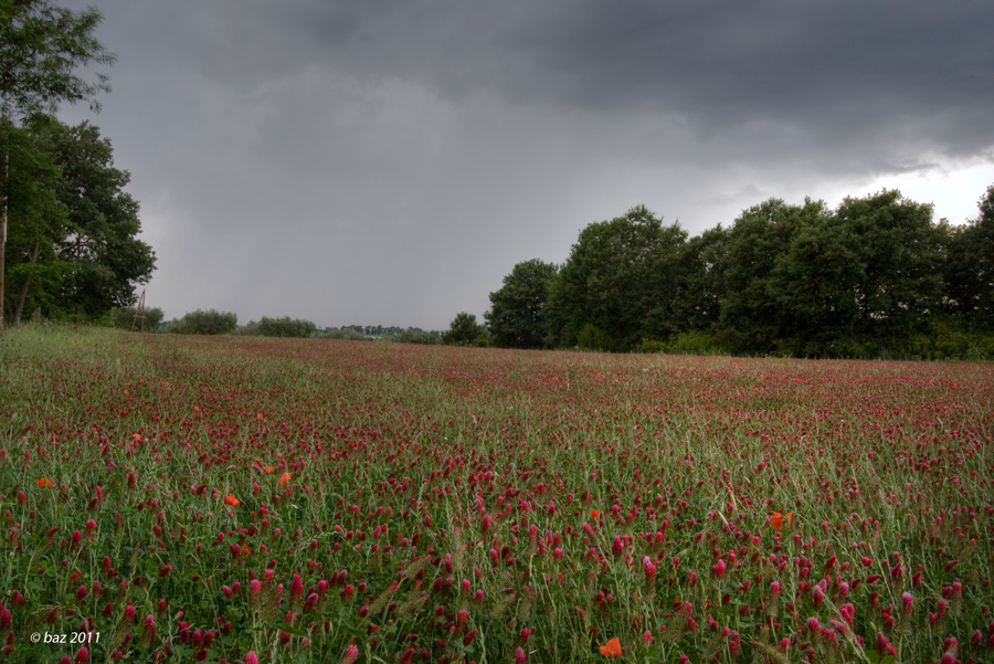 campagna romana